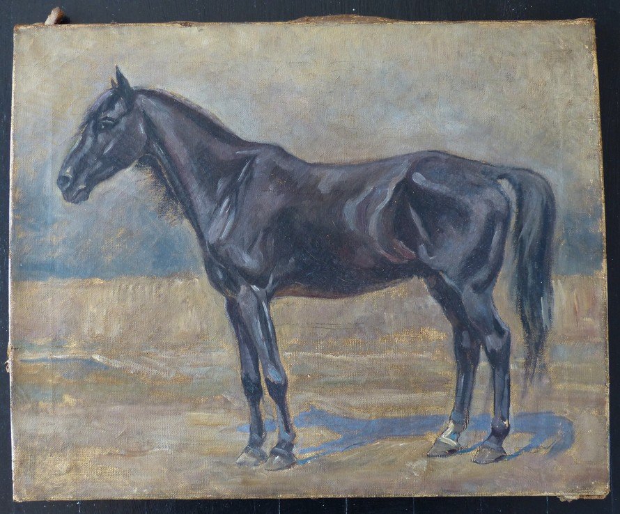 Le cheval noir circa 1910-photo-2