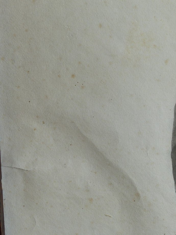 faune et panthère à l'antique-photo-1