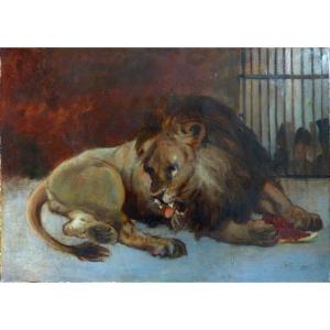 Ecole XIXème, Le Lion En Cage