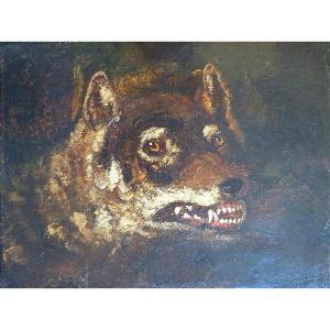 Tête de loup attribué à Philippe De La Hire (1640-1718)