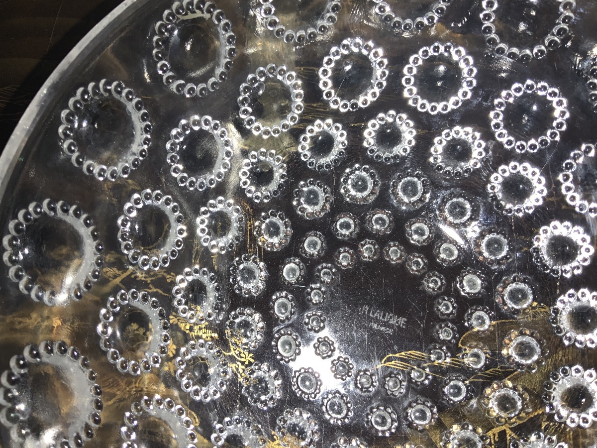 René Lalique (1860-1945). Asters Cup-photo-3