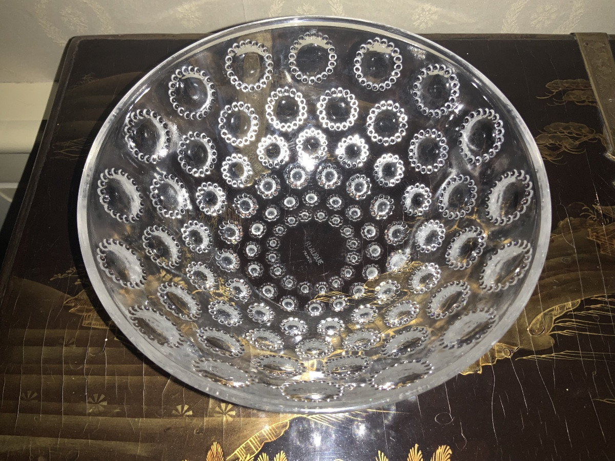 René Lalique (1860-1945). Asters Cup-photo-4