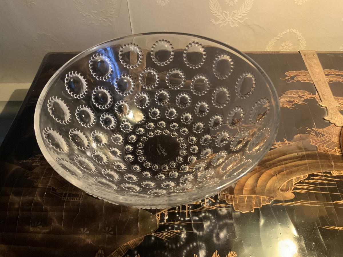 René Lalique (1860-1945). Asters Cup-photo-2