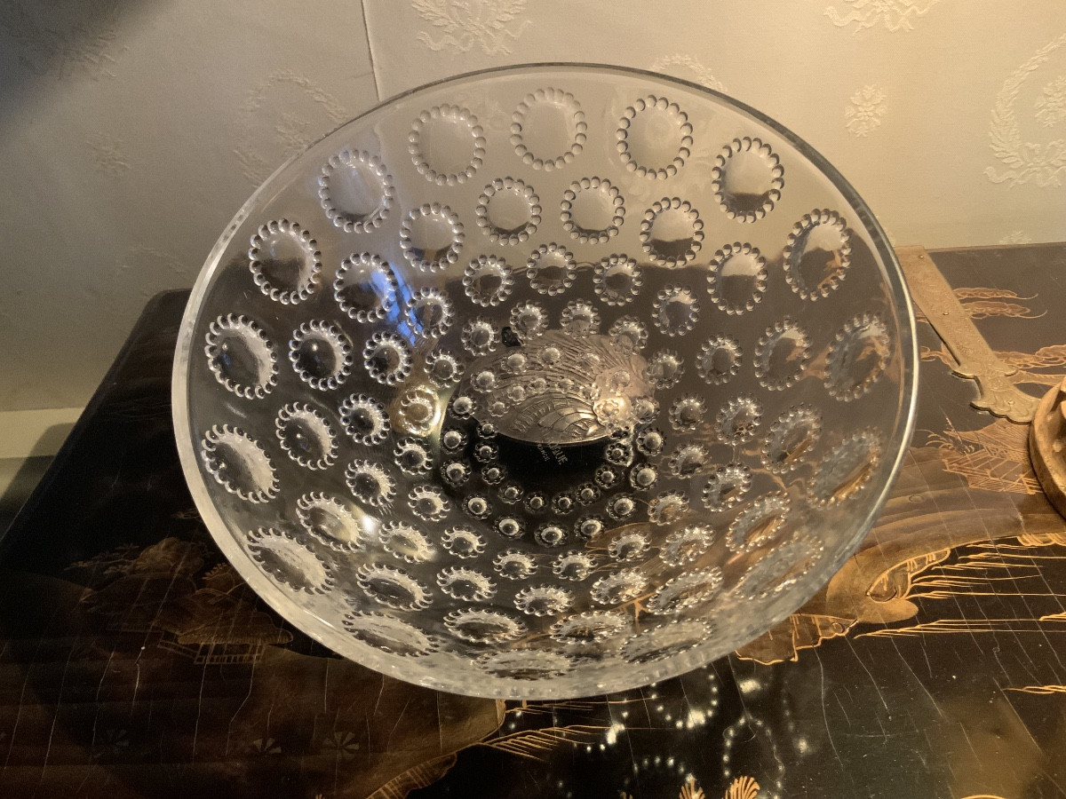 René Lalique (1860-1945). Asters Cup