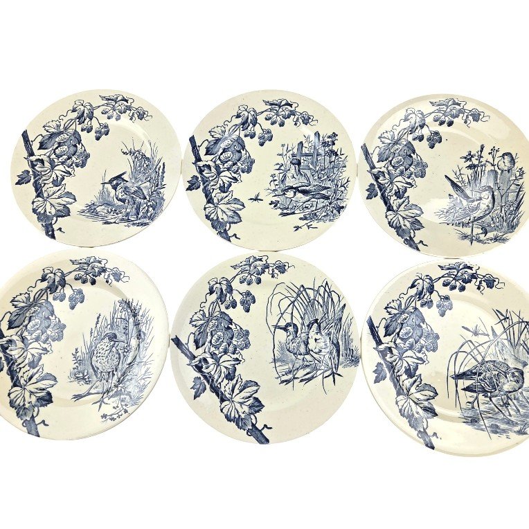 Pexonne Earthenware Dinner Service, Late 19th Century, 73 Pieces.-photo-8