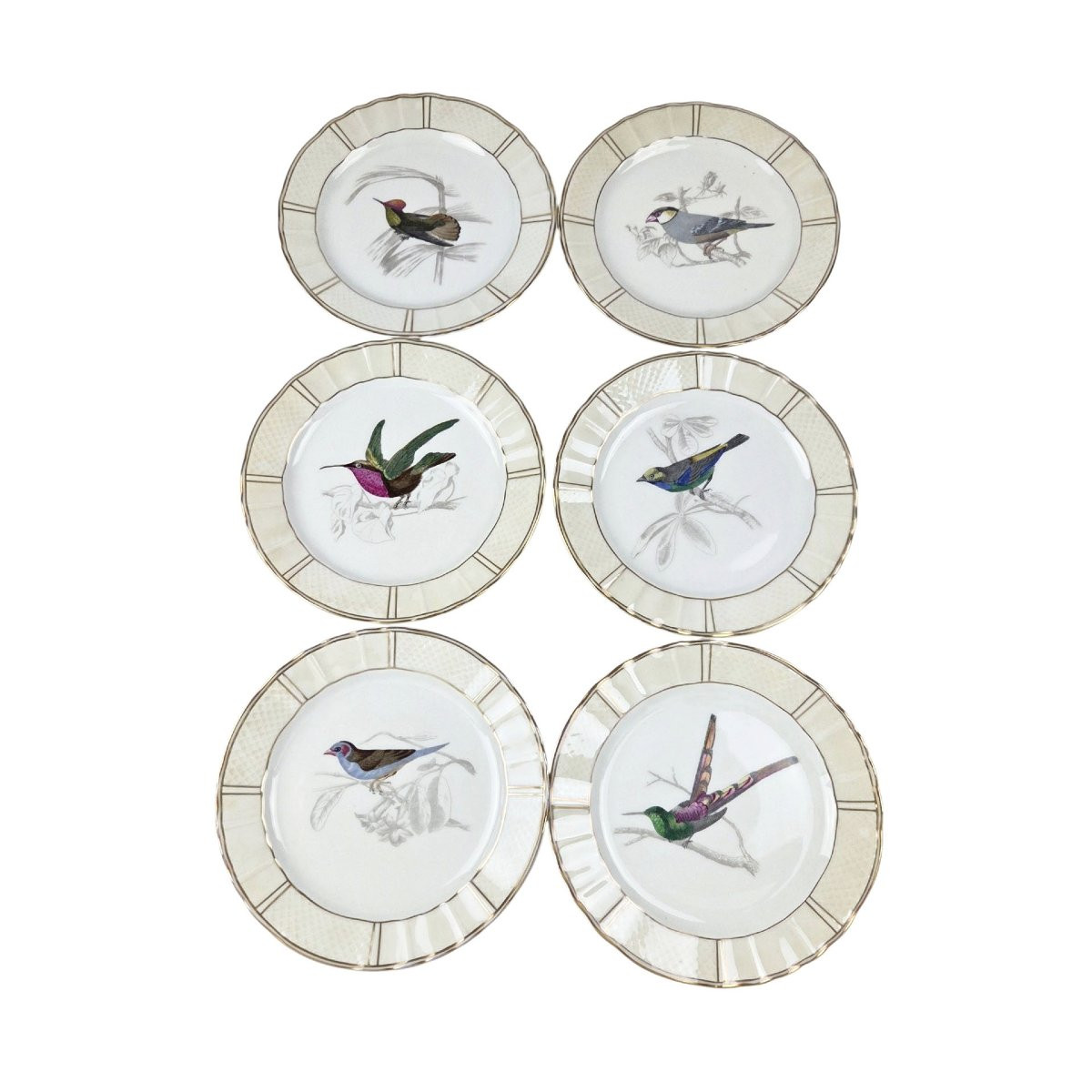 Limoges Porcelain Dessert Service, Bernardaud Company, "les Oiseaux De Buffon" Pattern -photo-2