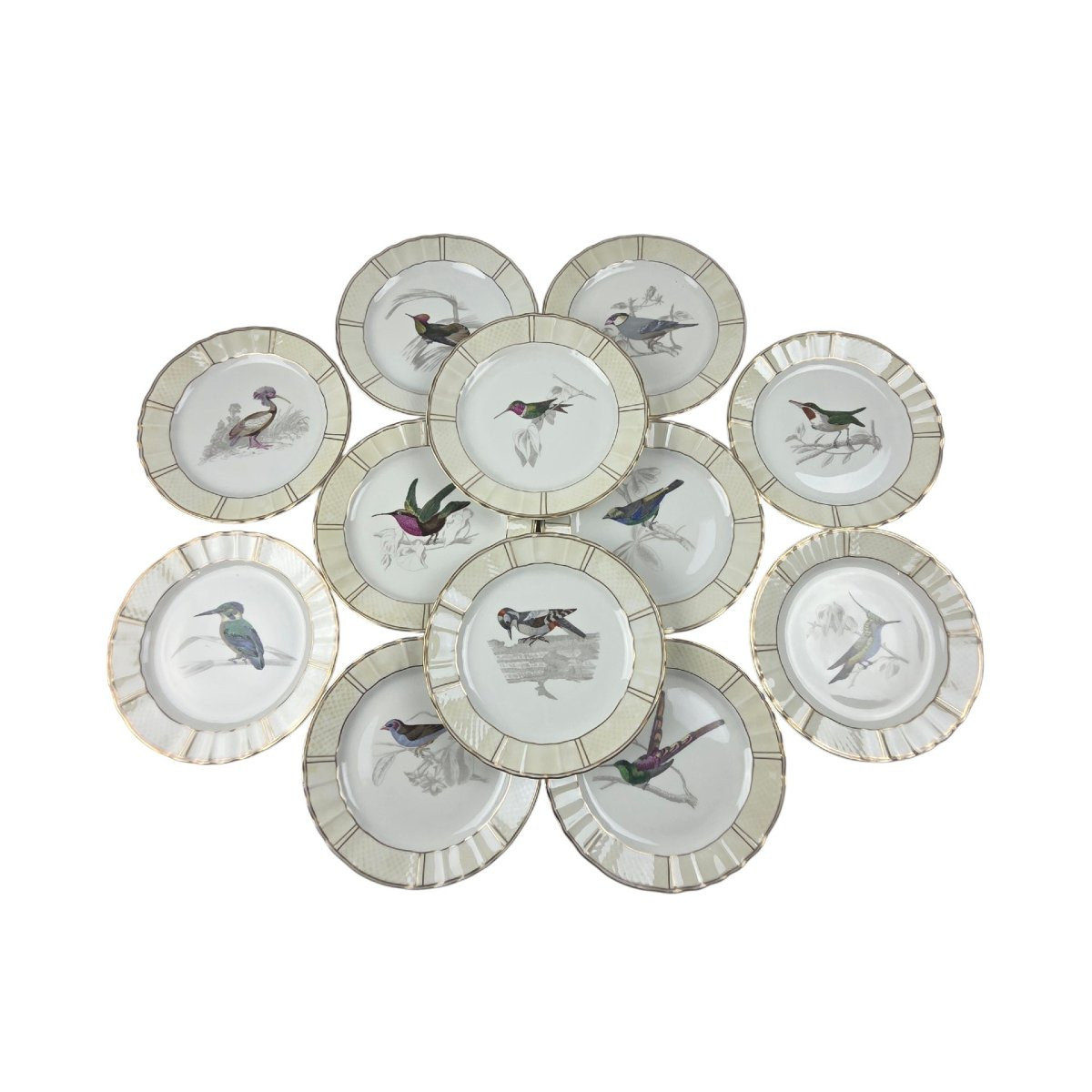 Limoges Porcelain Dessert Service, Bernardaud Company, "les Oiseaux De Buffon" Pattern -photo-3