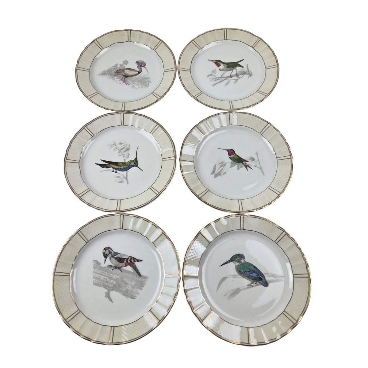 Limoges Porcelain Dessert Service, Bernardaud Company, "les Oiseaux De Buffon" Pattern -photo-2