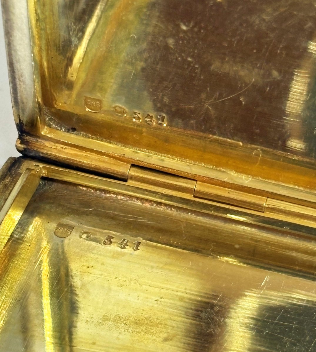 Silver And Enamel Cigarette Case, Vienna XIX - XX Century-photo-3