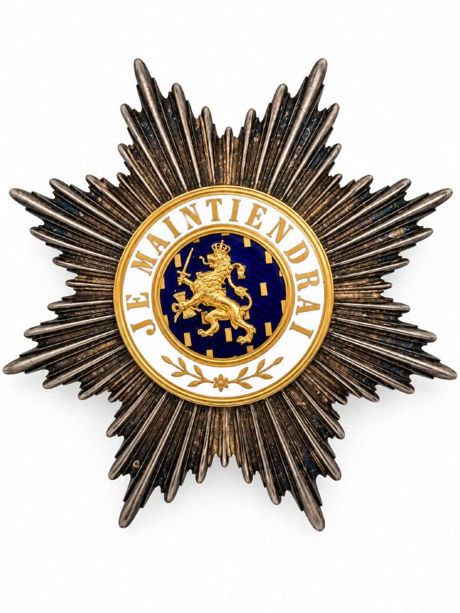 Netherlands – Order Of Orange-nassau – Grand Cross Medal (civil) – Early 20th Century