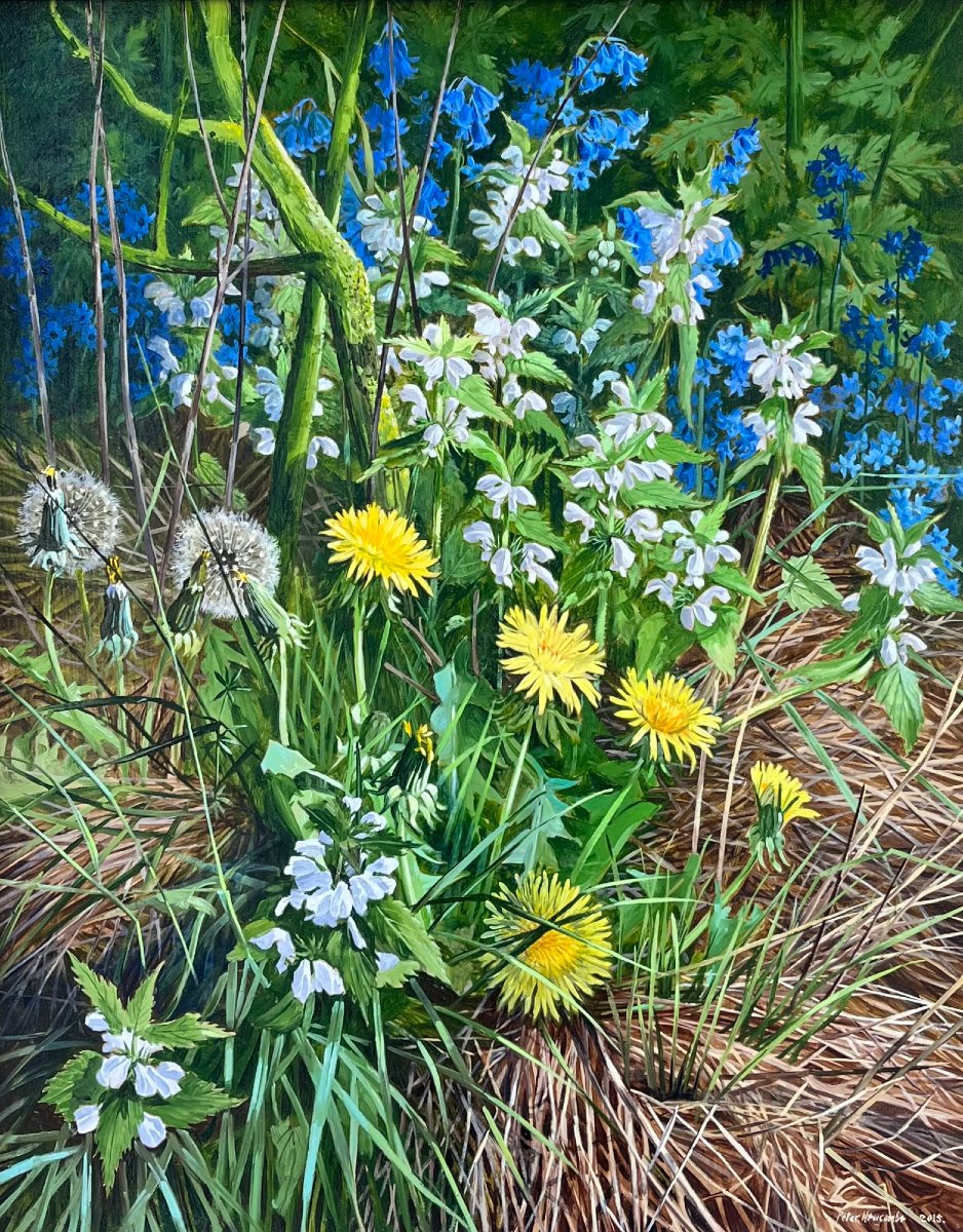 Spring Hedges – Peter Newcombe (born 1943)