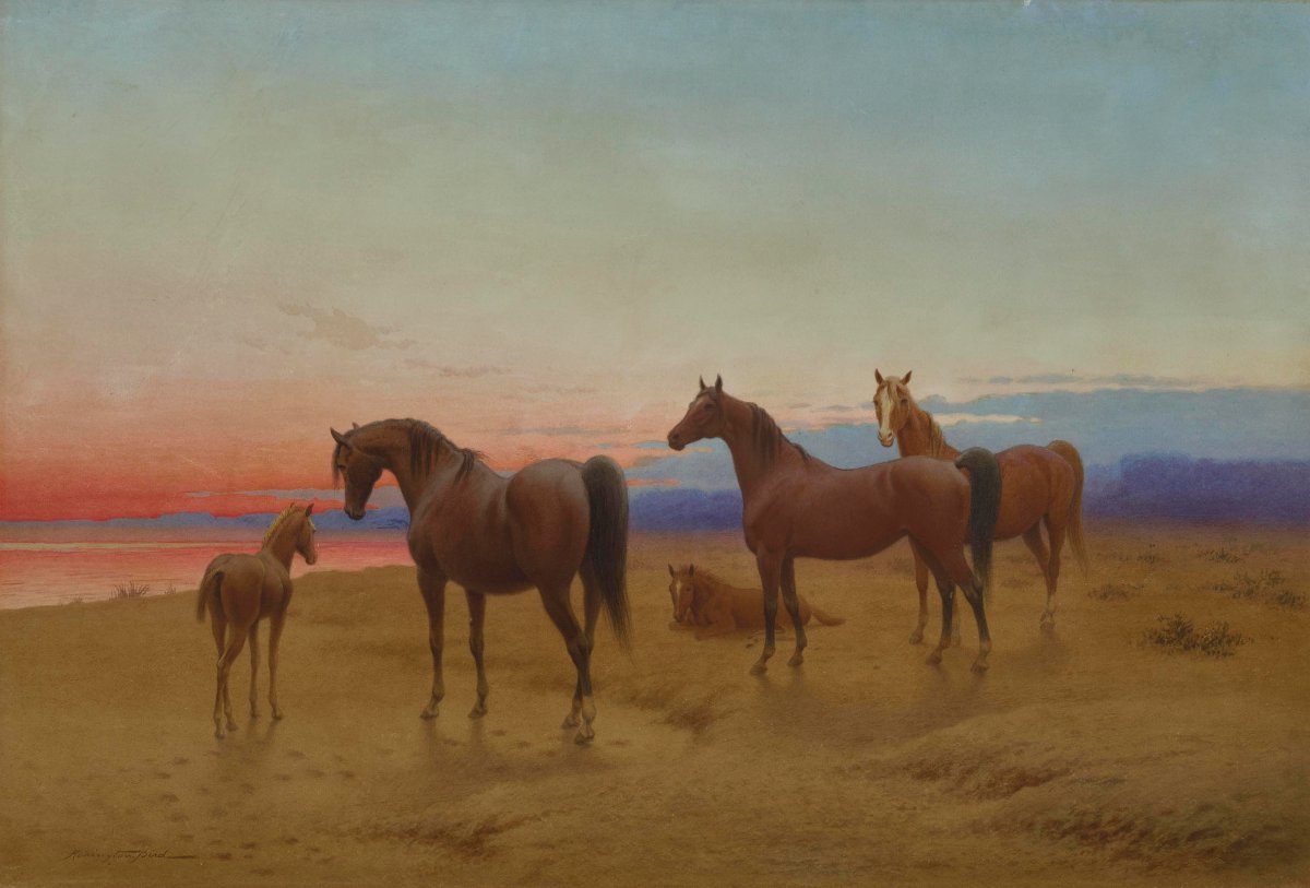 Chevaux arabes dans le désert – John Alexander Harrington Bird (1846–1936)