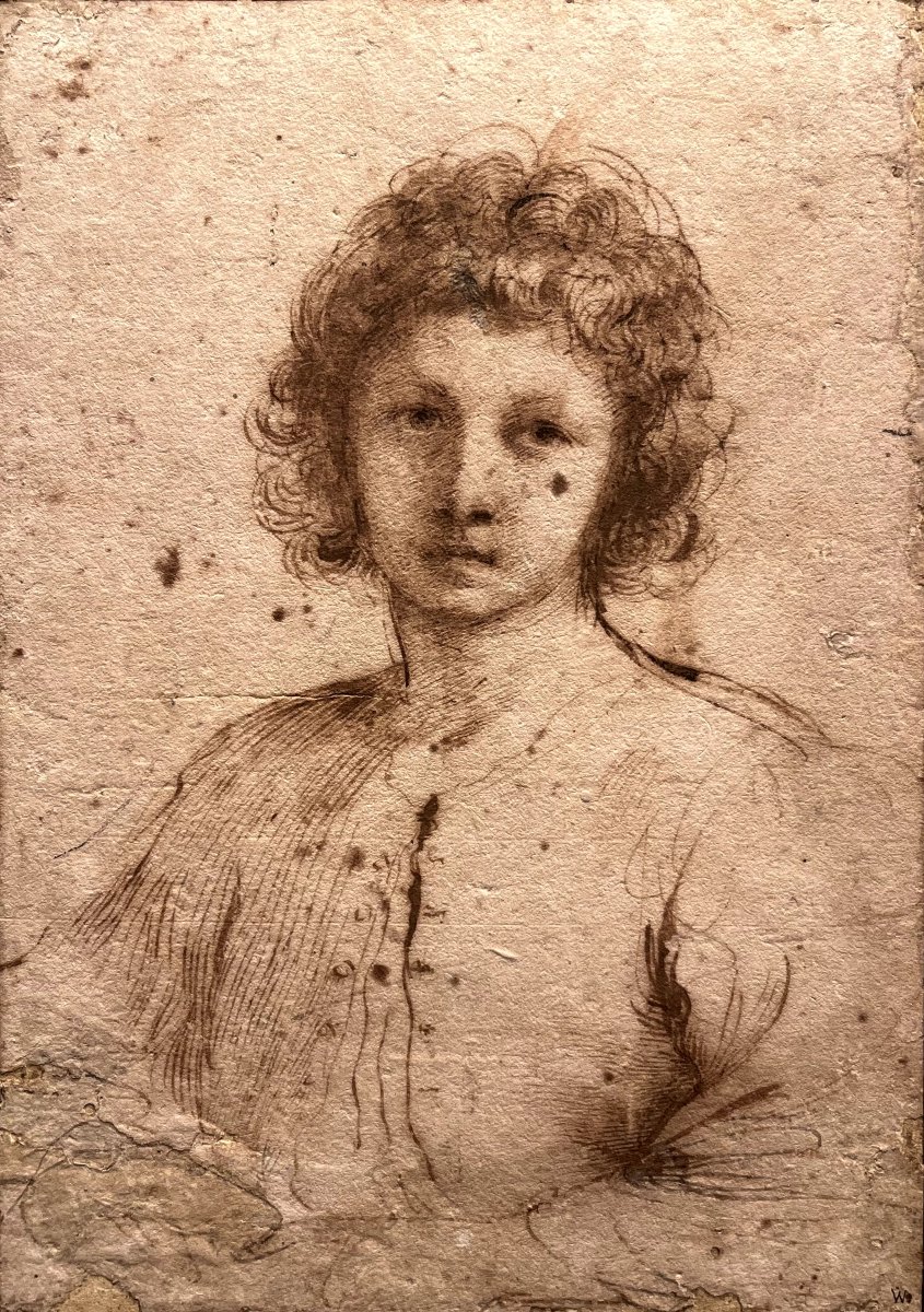 Half-length Study Of A Youth - Giovanni Barbieri Guercino (1591-1666)