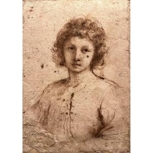 Half-length Study Of A Youth - Giovanni Barbieri Guercino (1591-1666)