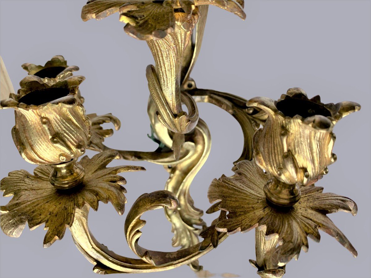Paire d'Appliques En Bronze  4 bras de lumière Style Louis XV Rocaille -photo-4