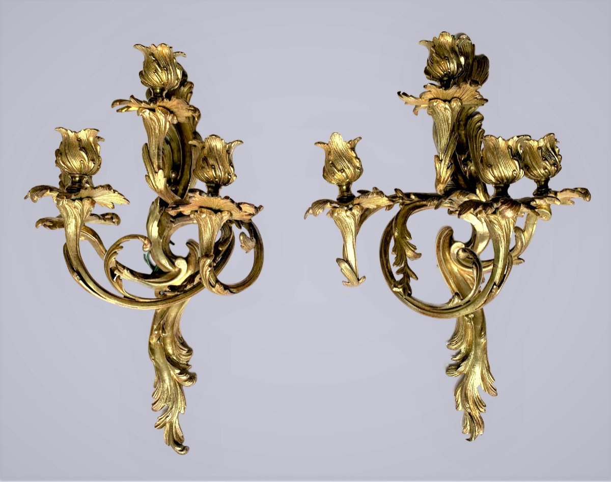 Paire d'Appliques En Bronze  4 bras de lumière Style Louis XV Rocaille 