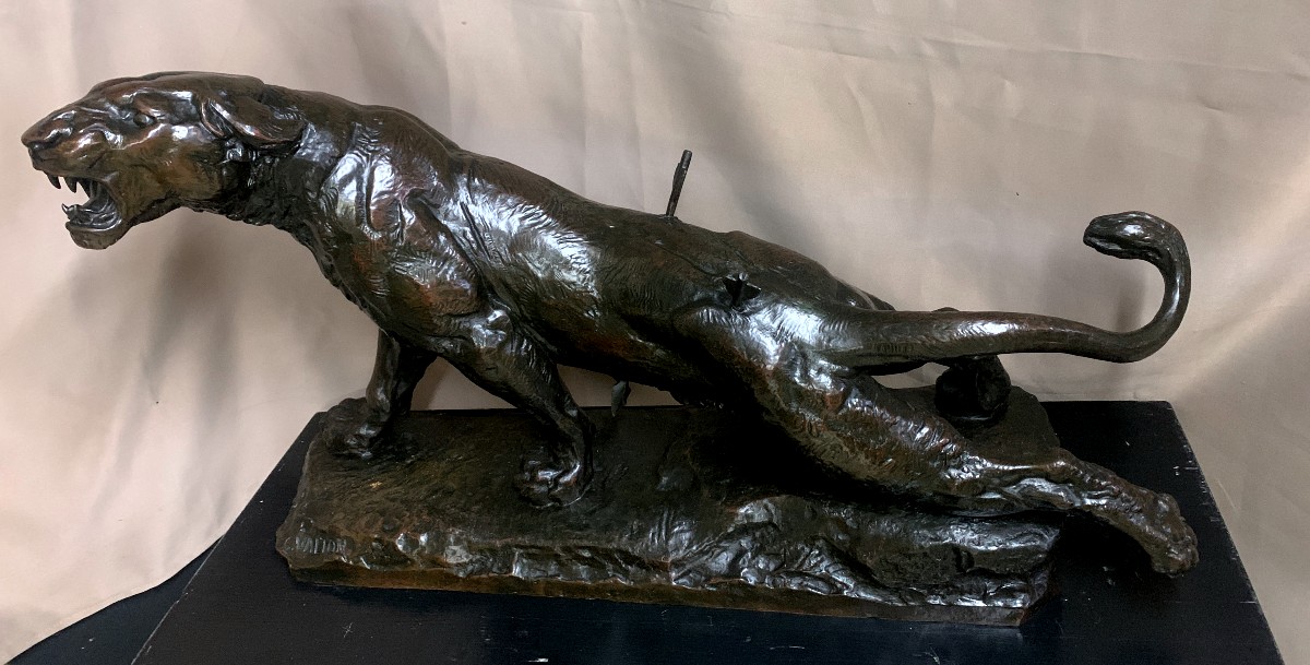 Large Bronze Sculpture (92 Cm) Of A Wounded Lioness, By Charles Valton.-photo-2