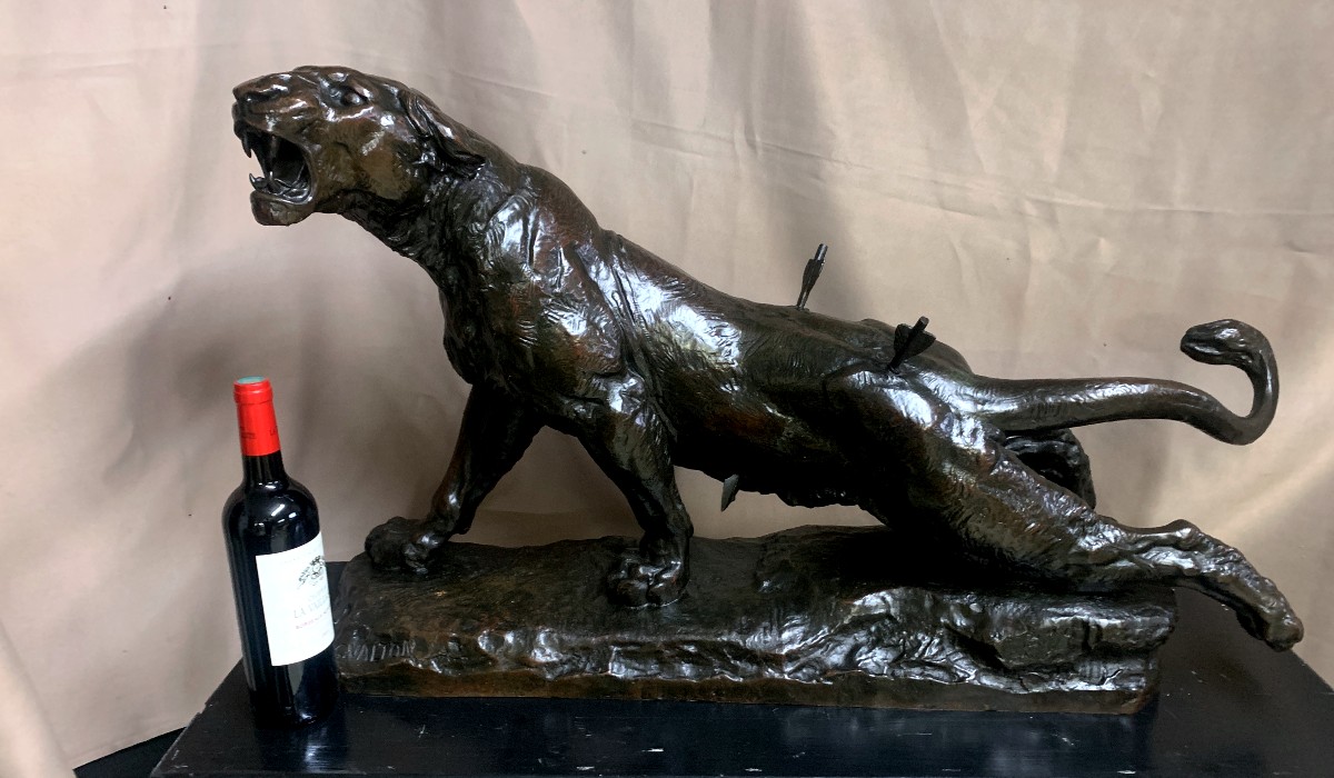 Large Bronze Sculpture (92 Cm) Of A Wounded Lioness, By Charles Valton.-photo-3
