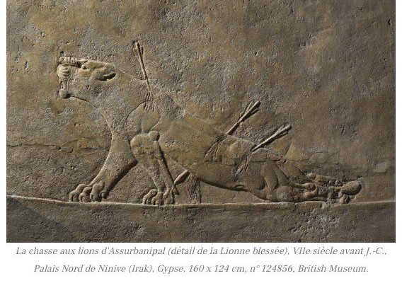 Large Bronze Sculpture (92 Cm) Of A Wounded Lioness, By Charles Valton.-photo-2