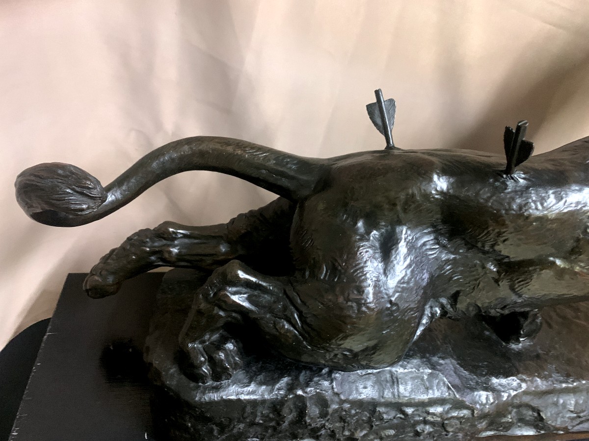 Large Bronze Sculpture (92 Cm) Of A Wounded Lioness, By Charles Valton.-photo-4