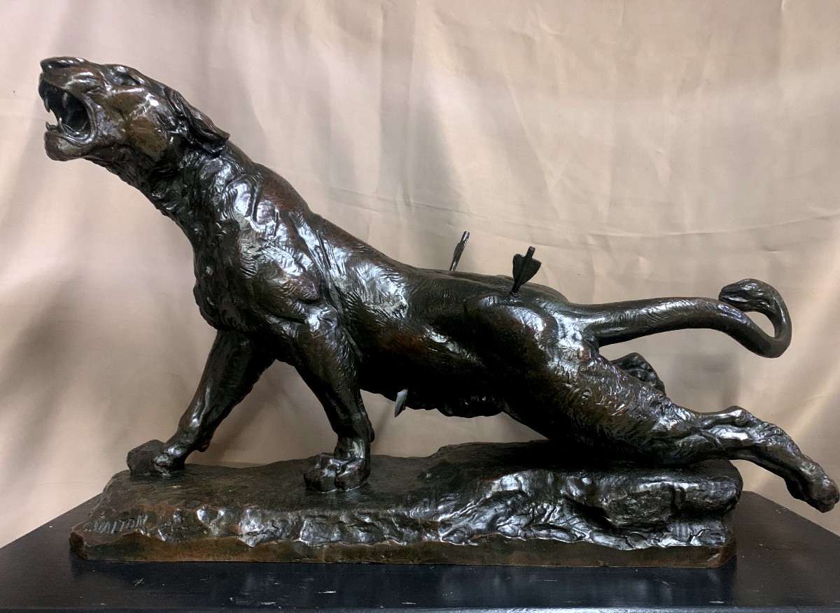 Large Bronze Sculpture (92 Cm) Of A Wounded Lioness, By Charles Valton.