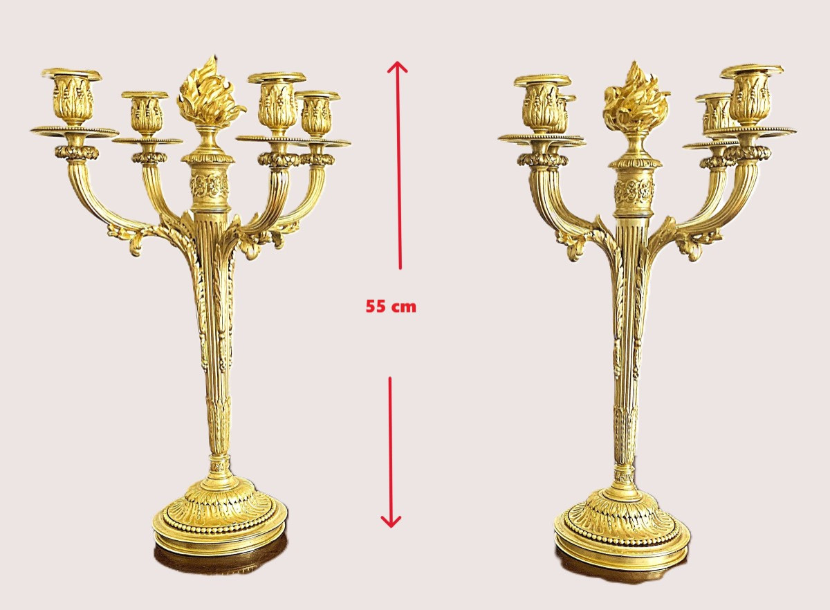 Paire d'Importants Candélabres En Bronze Doré  Louis XVI -photo-4