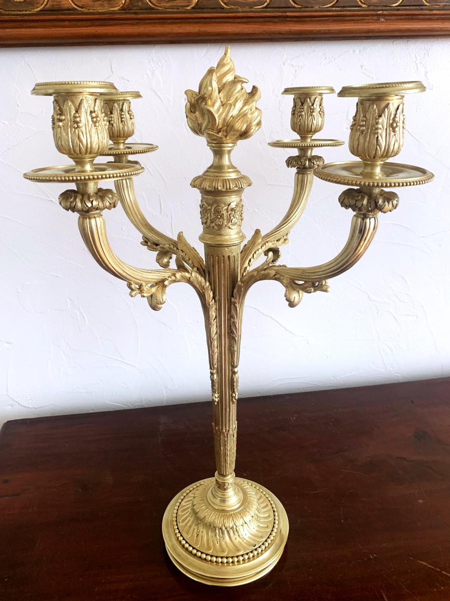 Paire d'Importants Candélabres En Bronze Doré  Louis XVI -photo-1