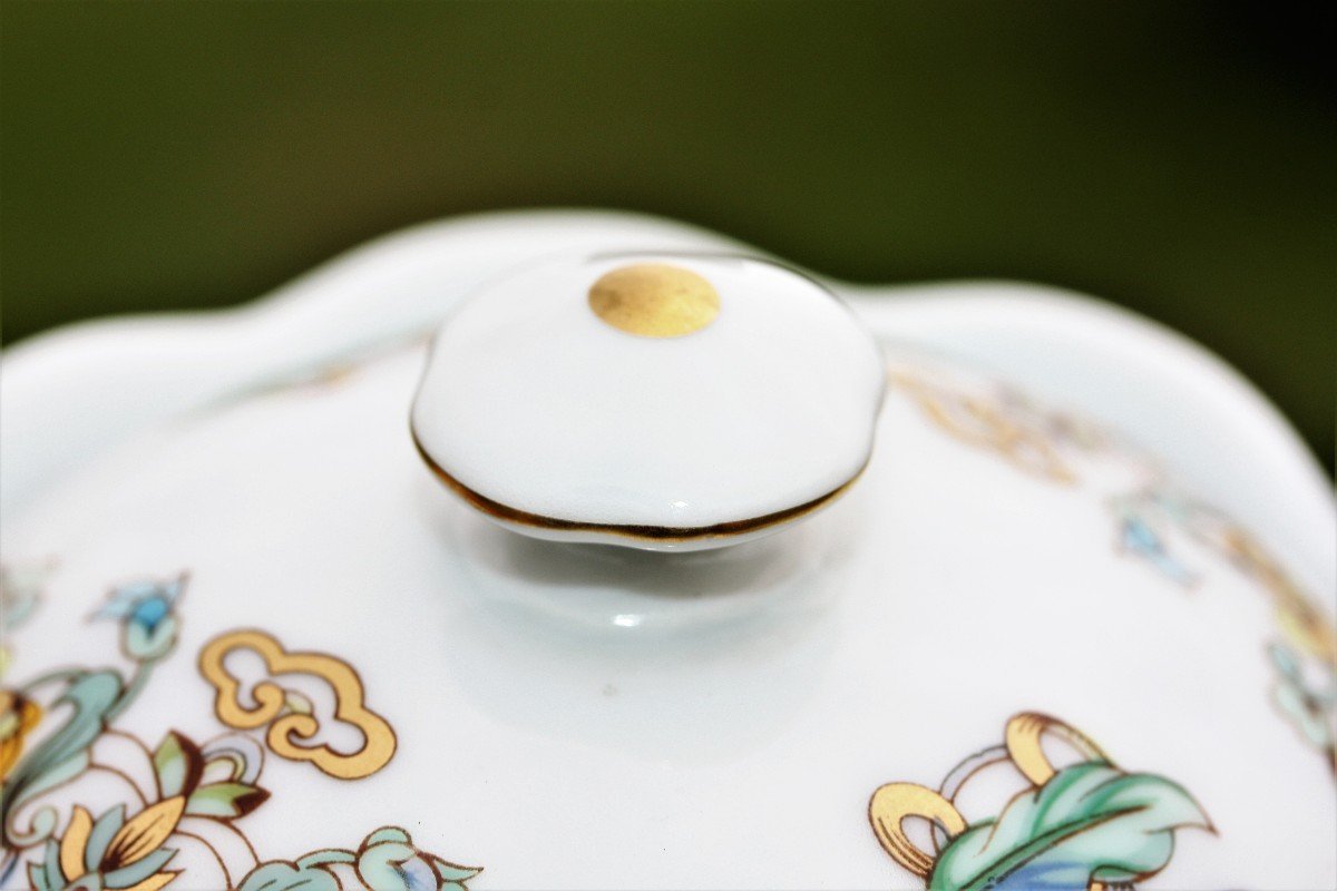 Coffee Pot In Haviland Limoges Porcelain, Aquarius Model-photo-6