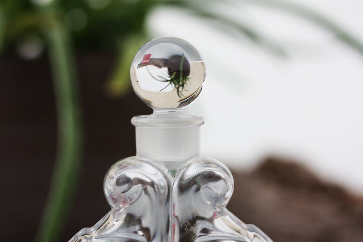 Baccarat Crystal Perfume Bottle, Dauphins Model-photo-3