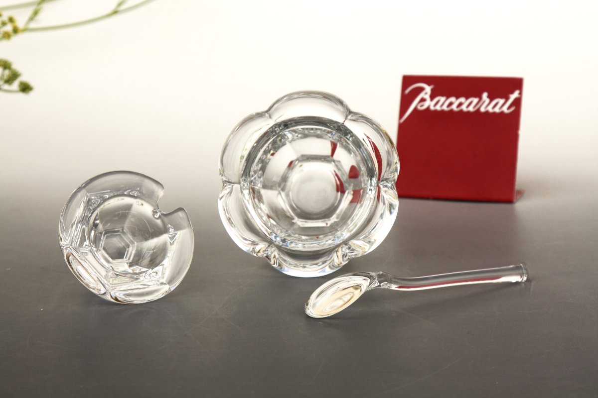 Moutardier en cristal de Baccarat modèle Harcourt Missouri-photo-4
