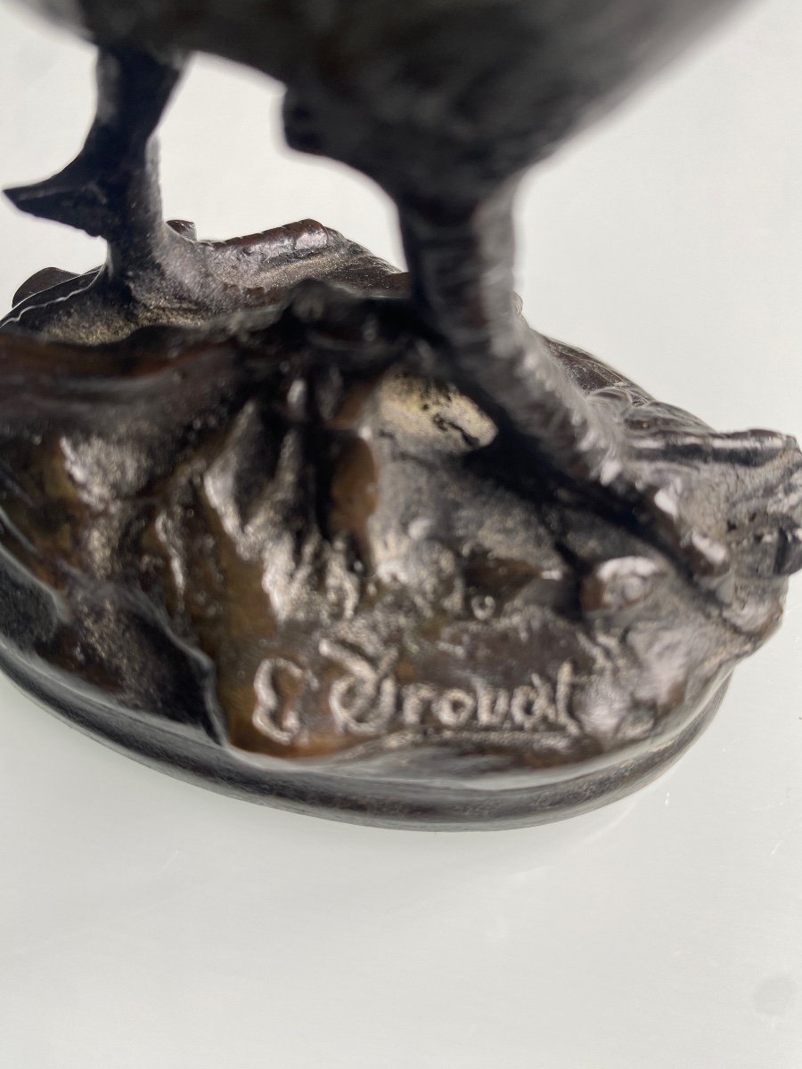 Coq En Bronze A Patine Brune XIXème Signé édouard Drouot (1859-1945)-photo-4