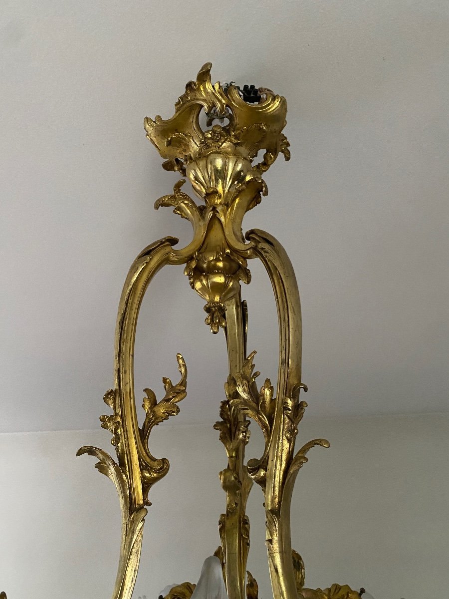 Louis XV Style Bronze Chandelier, Rocaille, Napoleon III Period -photo-5