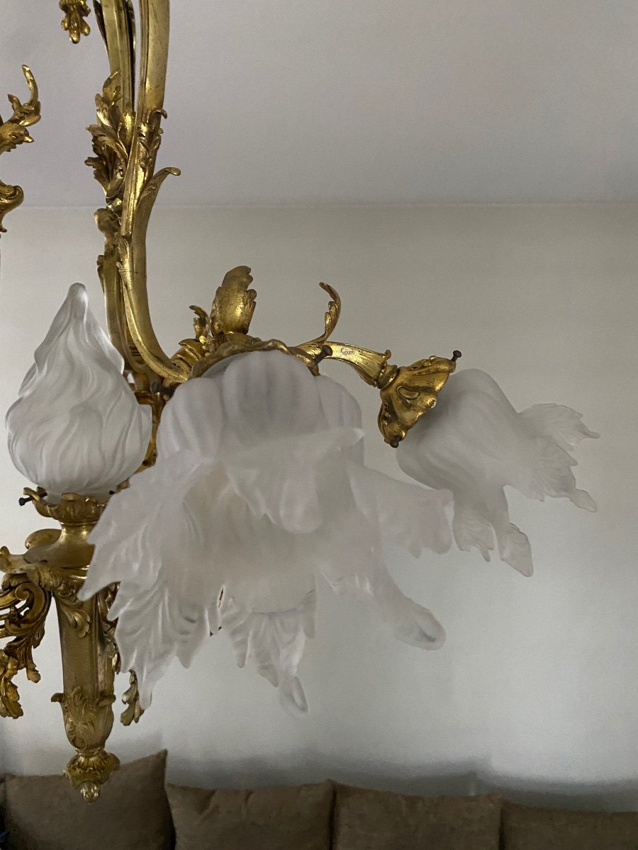 Louis XV Style Bronze Chandelier, Rocaille, Napoleon III Period -photo-7