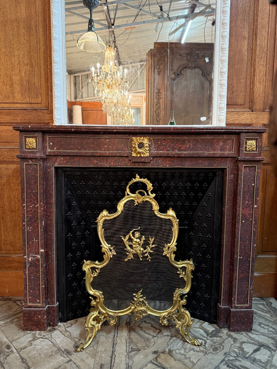 Pare feu de style Louis XV rocaille, en bronze doré,  époque XIXème, décor d’angelot-photo-2