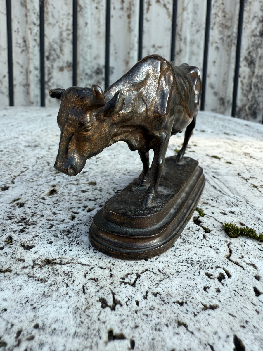 Pair Of Bronze Subjects With Brown Patina, 19th Century, Bull And Cow -photo-6