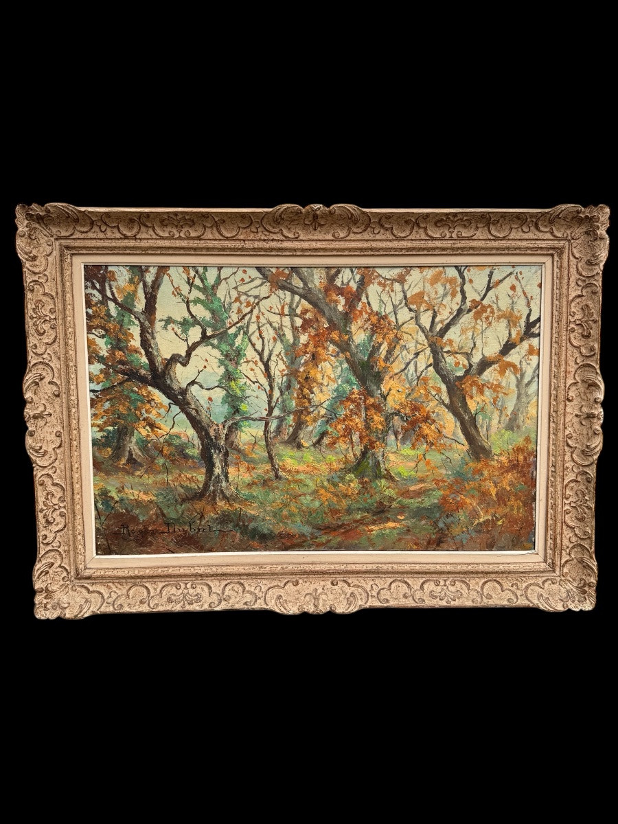 Large Signed Oil On Canvas Depicting An Autumn Forest, Montparnasse Frame-photo-2