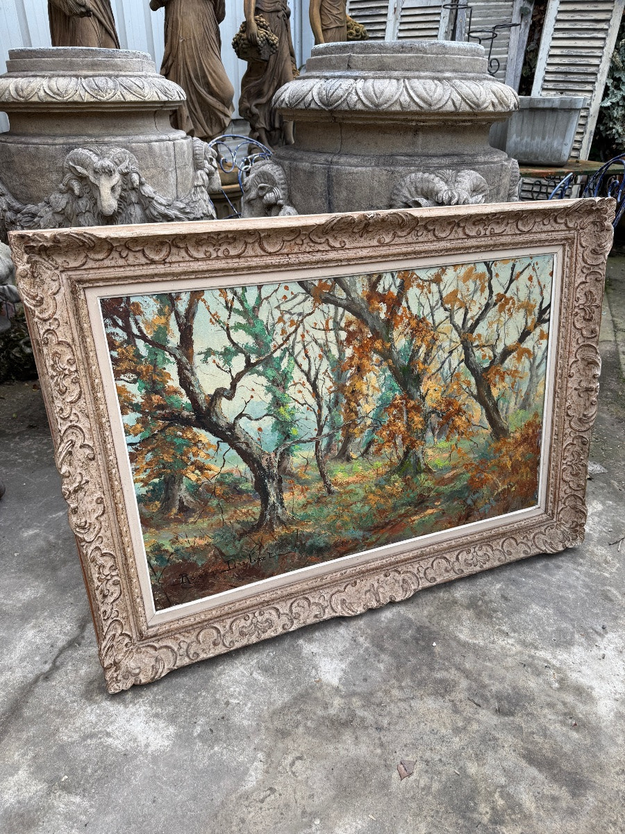 Large Signed Oil On Canvas Depicting An Autumn Forest, Montparnasse Frame-photo-4