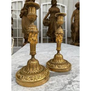 Pair Of Louis XVI Style Candlesticks / Torches In Gilt Bronze, 19th Century
