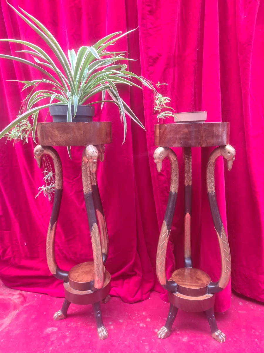 Pair Of Empire-period Tripod Pedestal Tables Used As Planters-photo-2