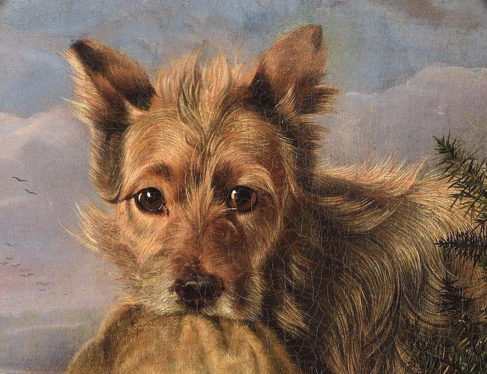 Edward Lloyd Elsmere (1846 - 1891) Terrier De Norwich-photo-3