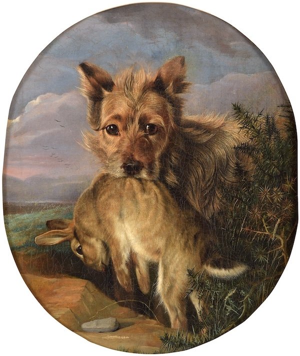 Edward Lloyd Elsmere (1846 - 1891) Terrier De Norwich