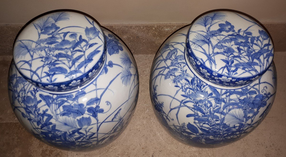 Pair Of Seto Porcelain Covered Vases, Japan Meiji Era-photo-2
