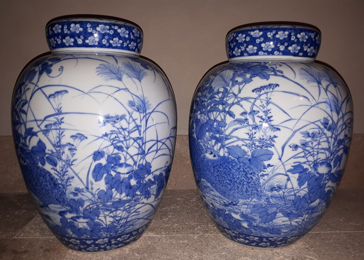 Pair Of Seto Porcelain Covered Vases, Japan Meiji Era-photo-3