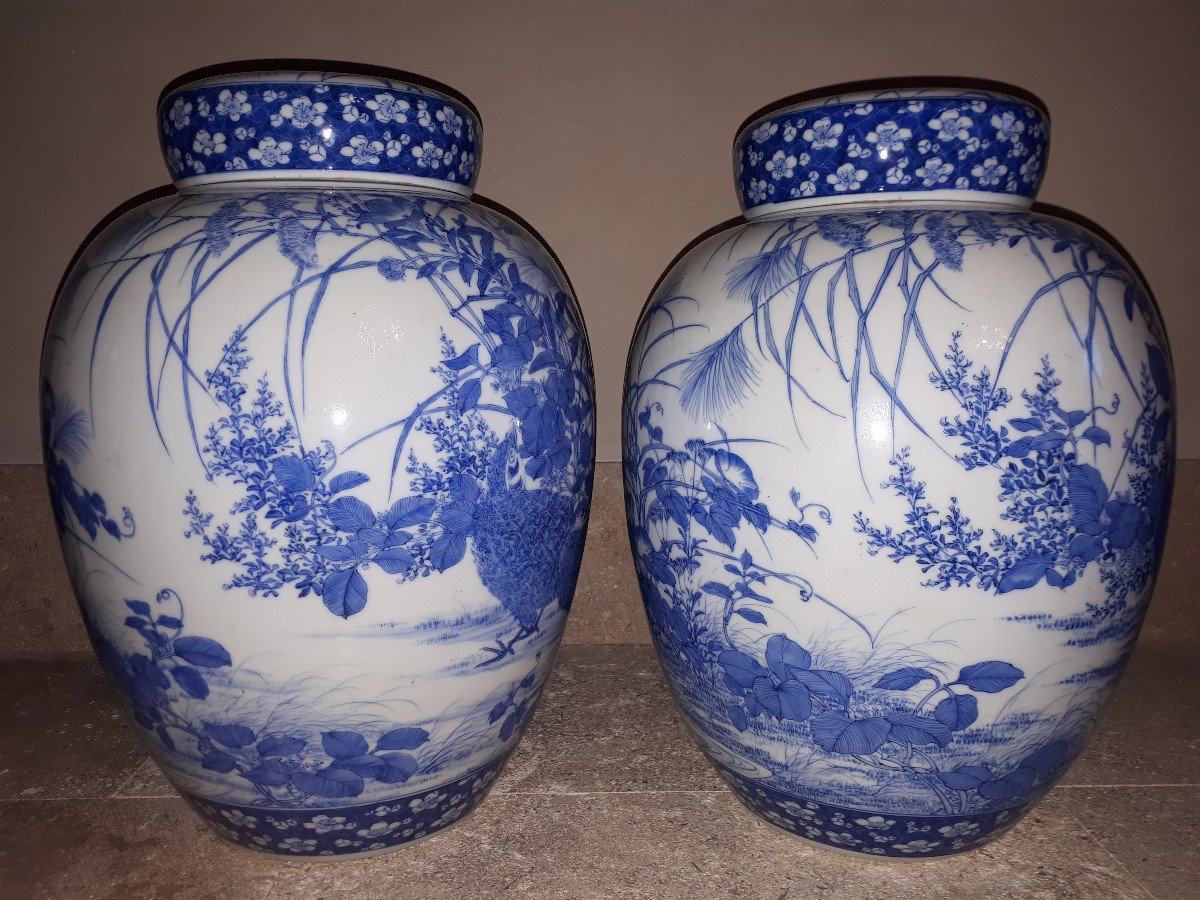 Pair Of Seto Porcelain Covered Vases, Japan Meiji Era-photo-2