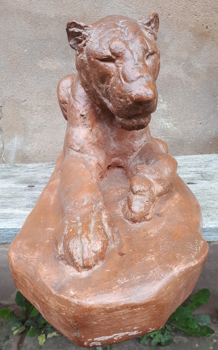 Sculpture d'Une Lionne Allongée, Par Cocry (édition  Martel)-photo-3