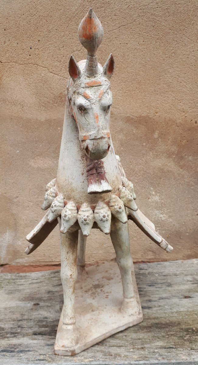 Sculpture Chinoise En Terre Cuite Représentant Un Cheval, Chine, Dynastie Des Wei Du Nord-photo-4