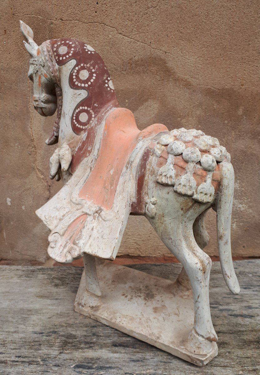 Sculpture Chinoise En Terre Cuite Représentant Un Cheval, Chine, Dynastie Des Wei Du Nord-photo-6