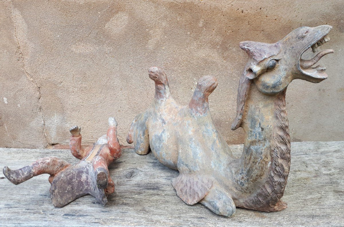 Important Chinese Terracotta Sculpture Representing A Camel, China, Tang Dynasty-photo-8