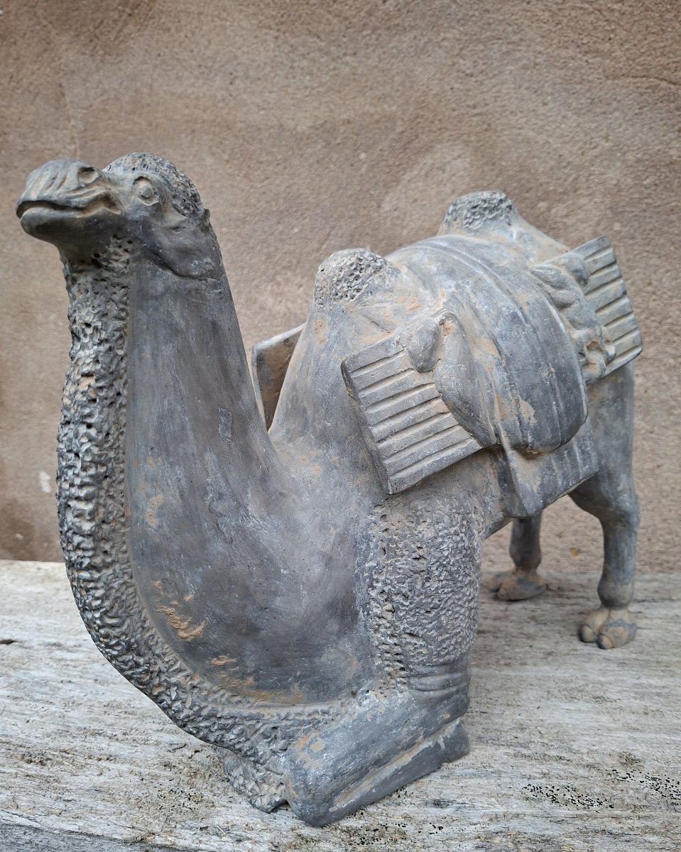 Chinese Terracotta Sculpture Of A Camel, China, Northern Wei Dynasty-photo-2