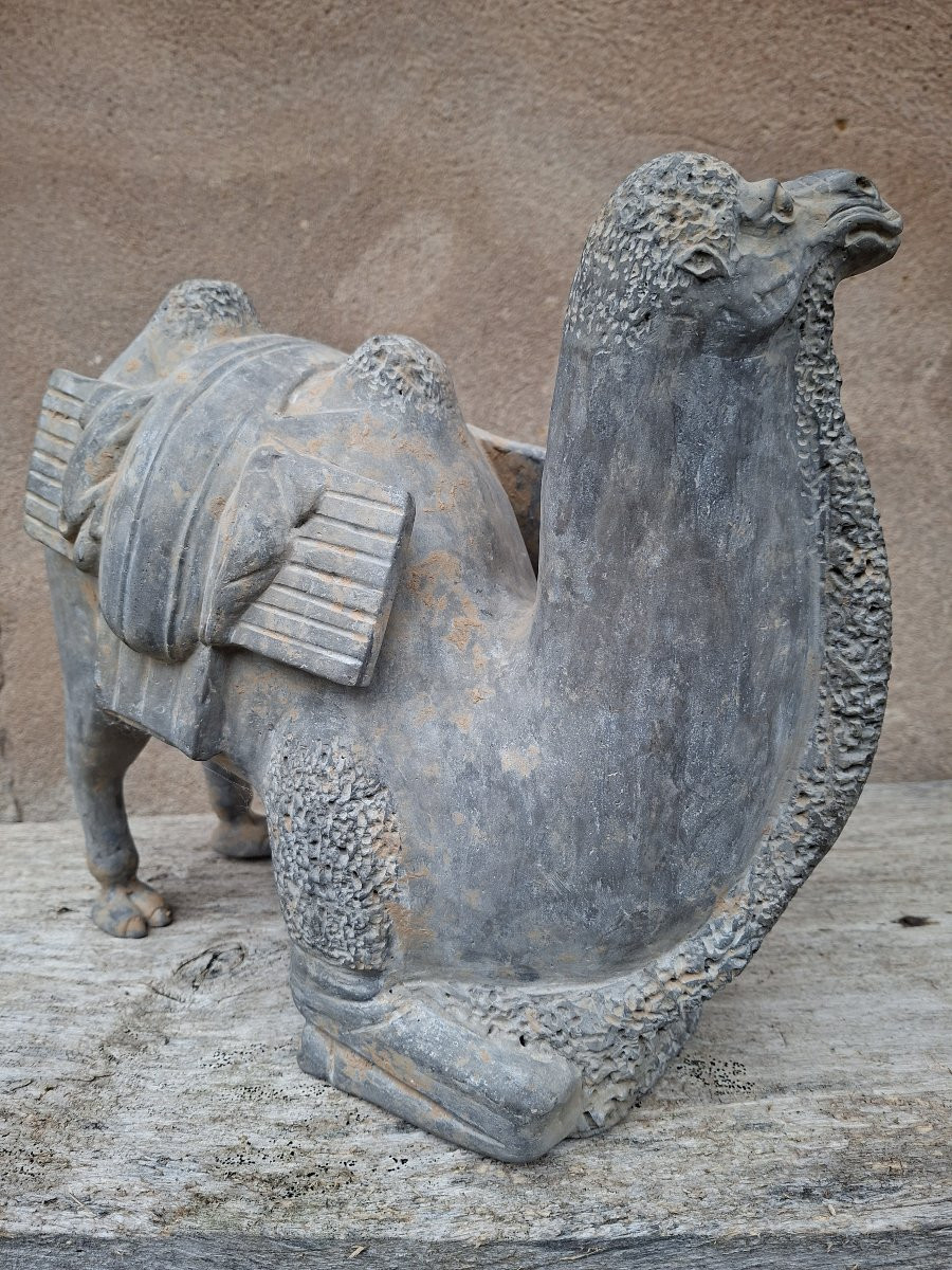 Chinese Terracotta Sculpture Of A Camel, China, Northern Wei Dynasty-photo-4